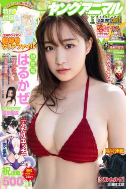 姚晓棠