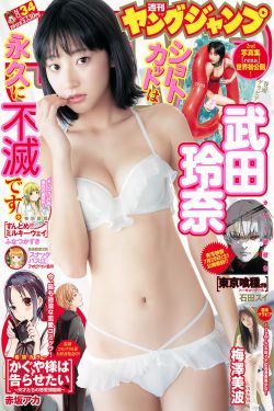 国宝特攻