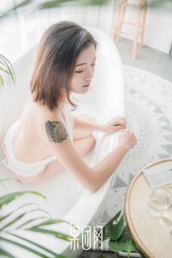 不期而至电视剧免费观看完整版