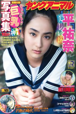 零速争霸