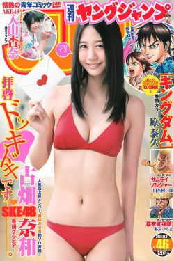 飞鸟影视网